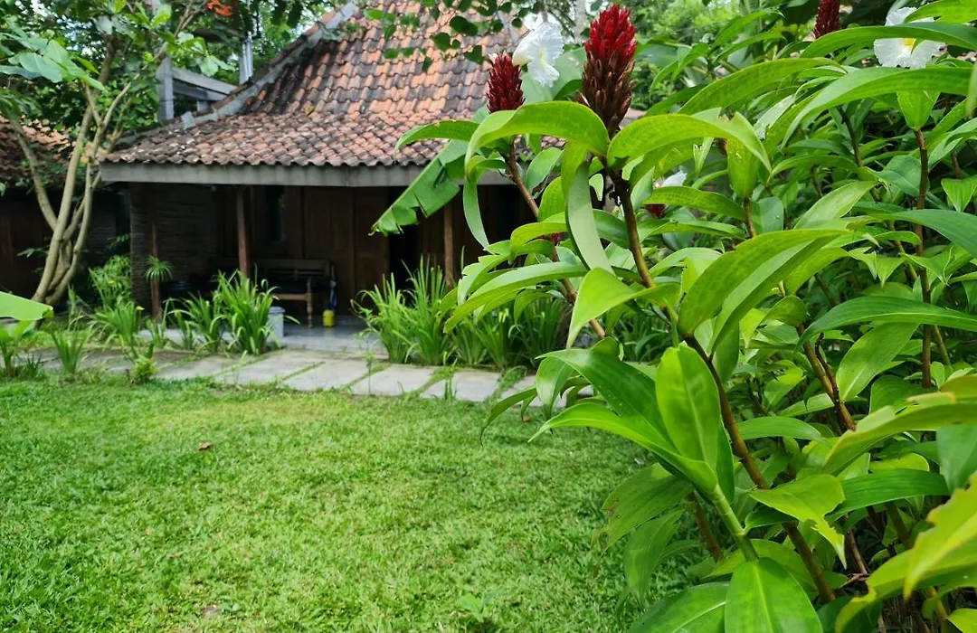 Villa Kayu Yogyakarta&Bungallow-1